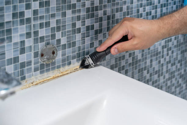 Best Emergency Mold Removal  in Warm Mineral Springs, FL