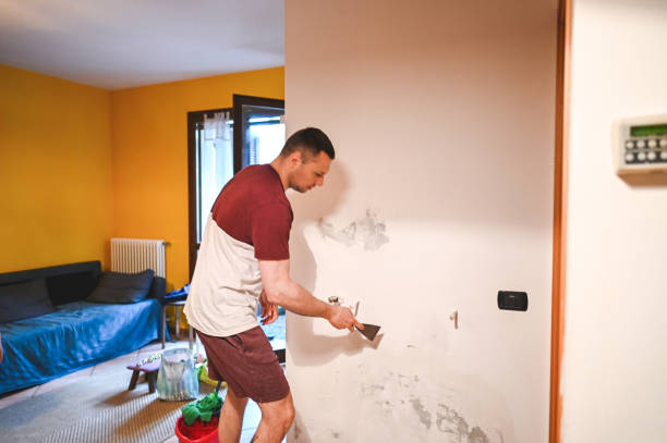 Best Best Mold Removal Companies  in Warm Mineral Springs, FL